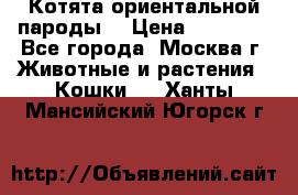 Котята ориентальной пароды  › Цена ­ 12 000 - Все города, Москва г. Животные и растения » Кошки   . Ханты-Мансийский,Югорск г.